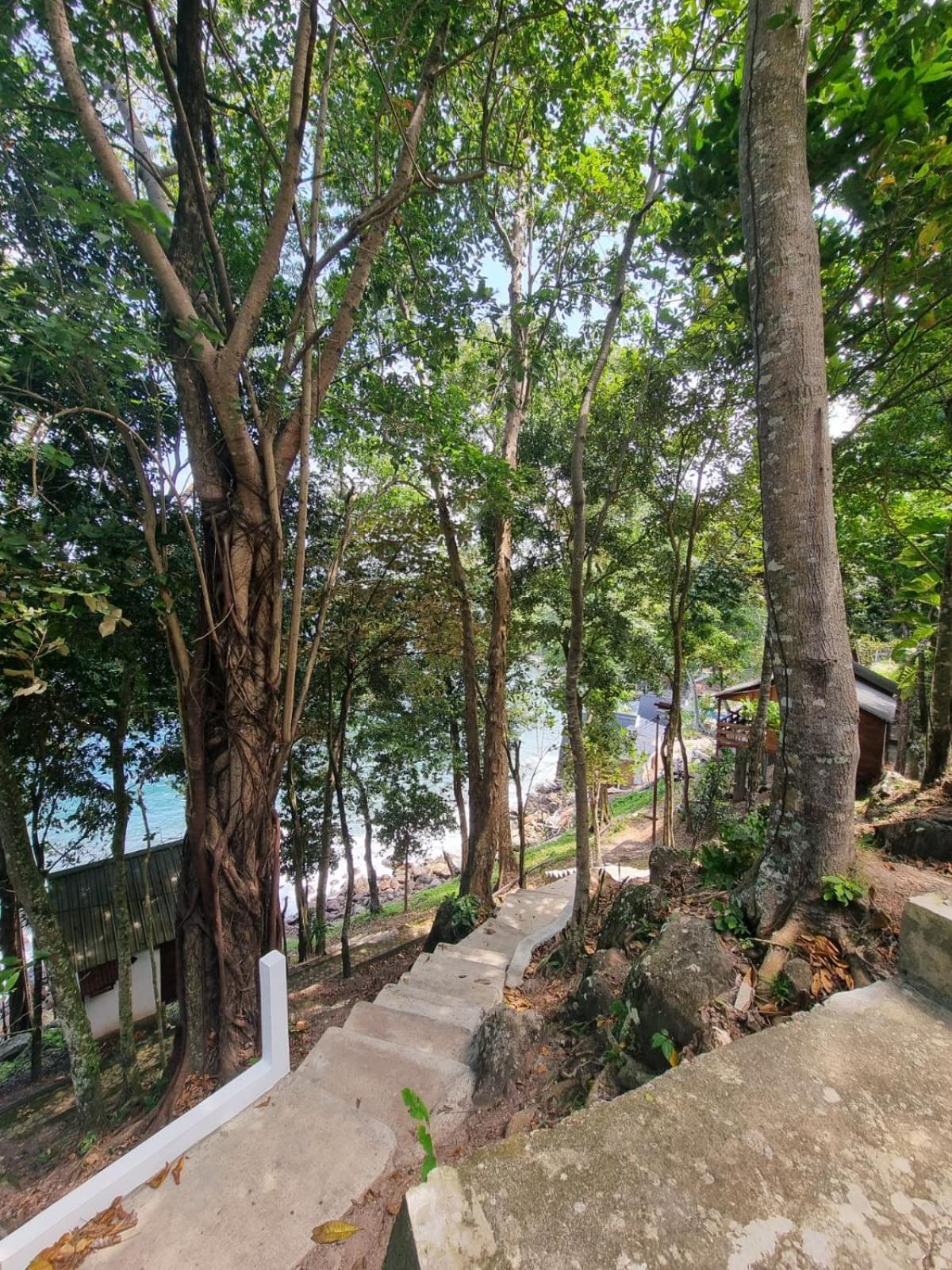 Treetop Guesthouse And Bungalows Сабанг Екстериор снимка